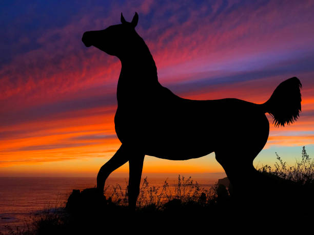 istock Horse Silhouette Sunset 640300408