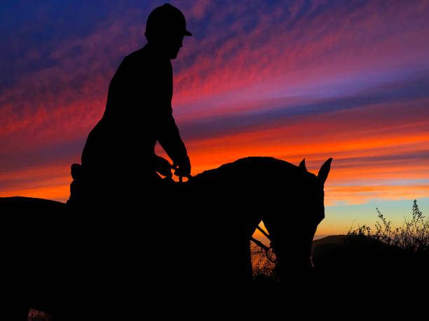istock Horse Silhouette Sunset 640300428