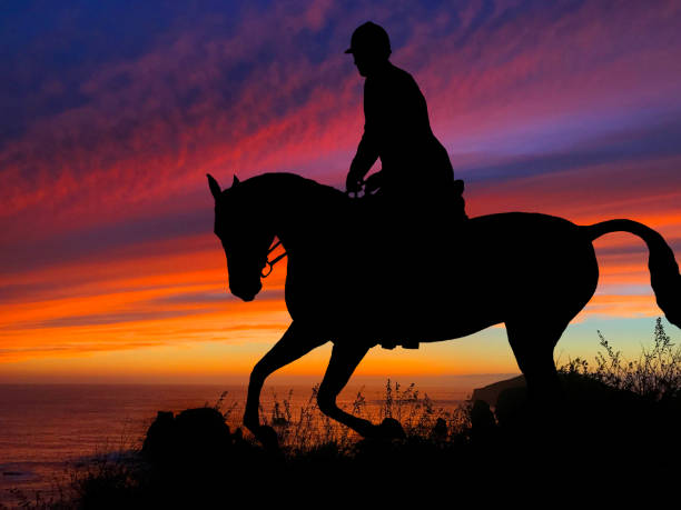 istock Horse Silhouette Sunset 640300448
