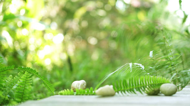 istock Wood floor foreground for product presentation with green 640303762
