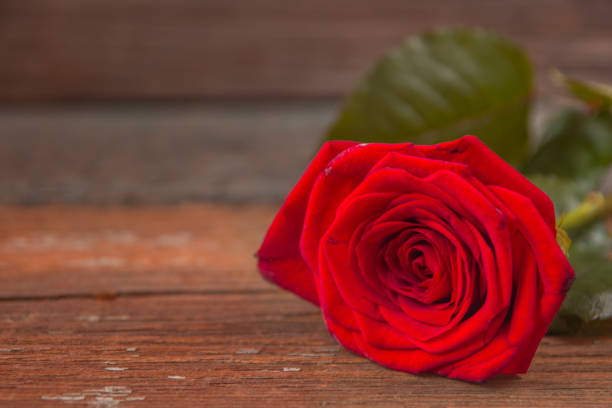 Red rose flower on a old wooden table.