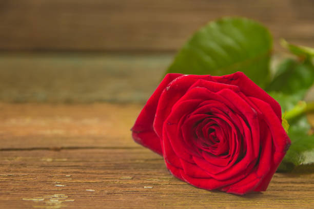 istock Red rose flower on a old wooden table 640308024