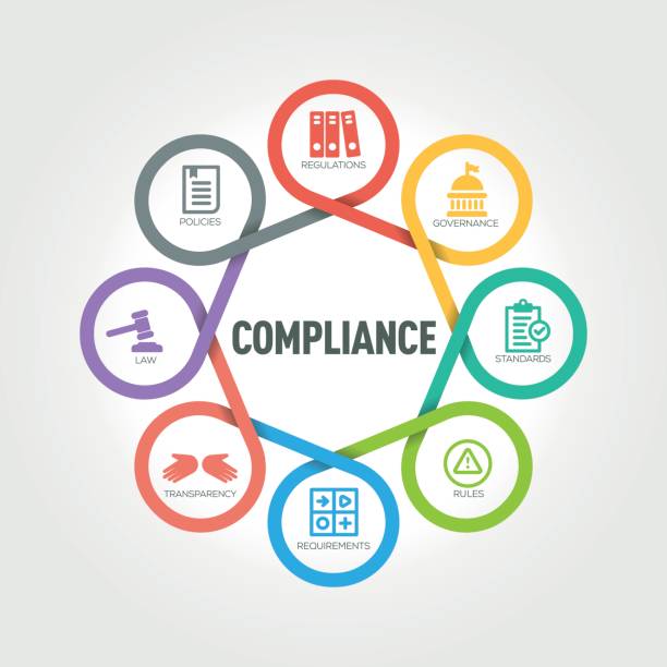 compliance-infografik mit 8 schritten, teilen, optionen - data governance stock-grafiken, -clipart, -cartoons und -symbole