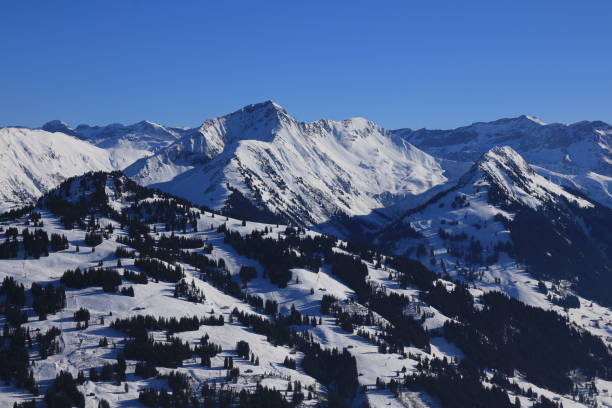 заснеженные горы хорнберг, гиферспиц и вассереграт - bernese oberland gstaad winter snow стоковые фото и изображения