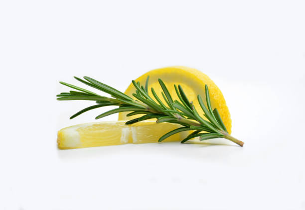 branch of Rosemary accompanied of chunks of lemon