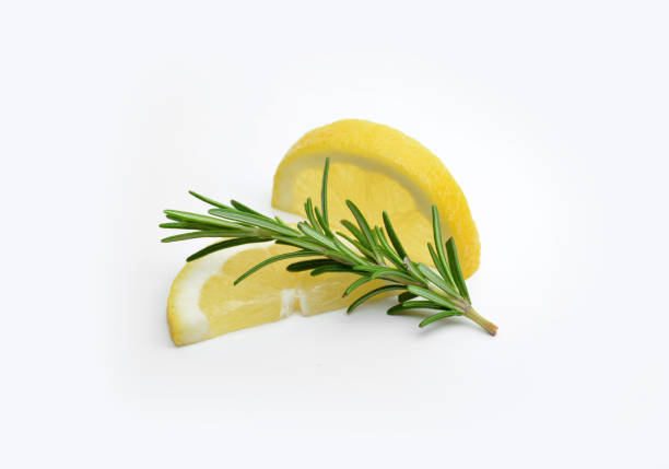 branch of Rosemary accompanied of chunks of lemon