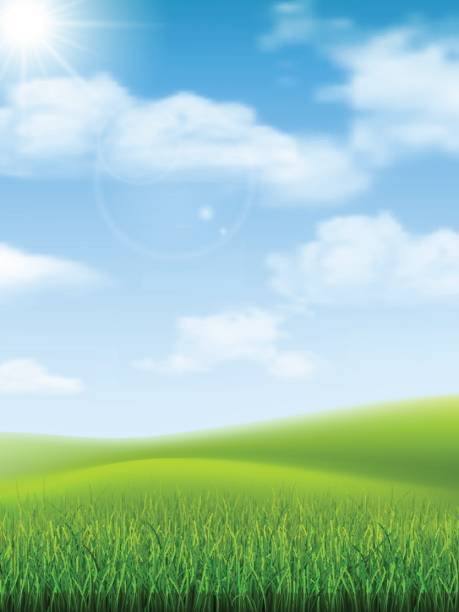 ilustrações de stock, clip art, desenhos animados e ícones de nature landscape grass hill - meadow cloudscape cloud landscaped