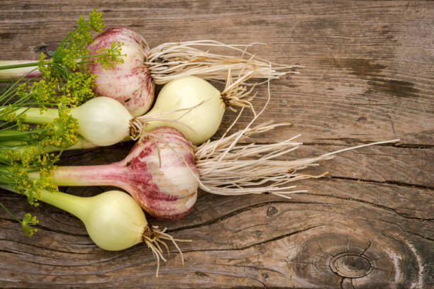 istock onion and garlic on wood background 640315682
