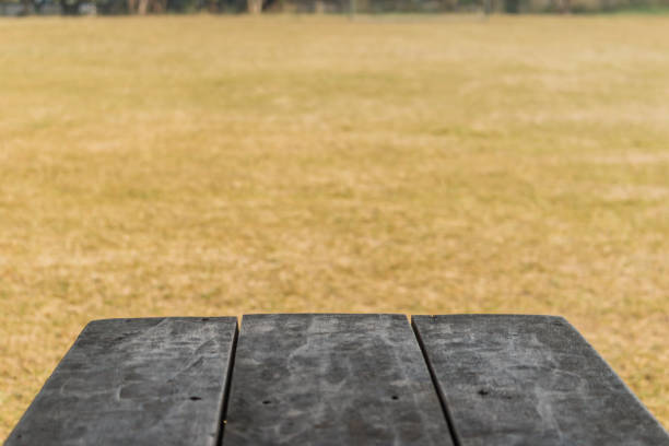 istock Old wood table for nature background 640316574