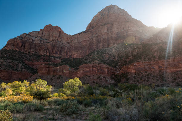 istock Zion National Park, USA 640318392