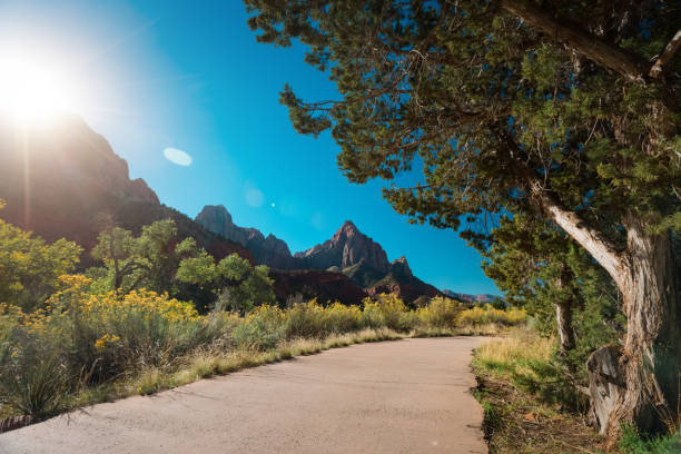 istock Zion National Park, USA 640318510