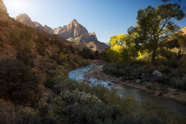 istock Zion National Park, USA 640318650