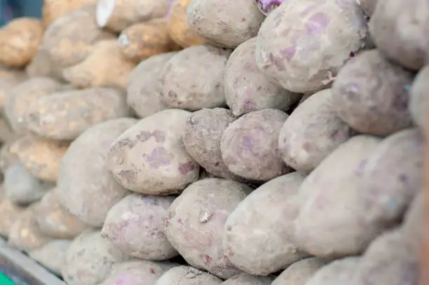 purple tuber crops. bulbs have a sense such a deep purple sweet. raw food