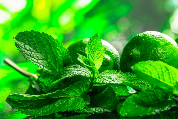 istock Fresh green mint and lime close-up on a dark 640322496