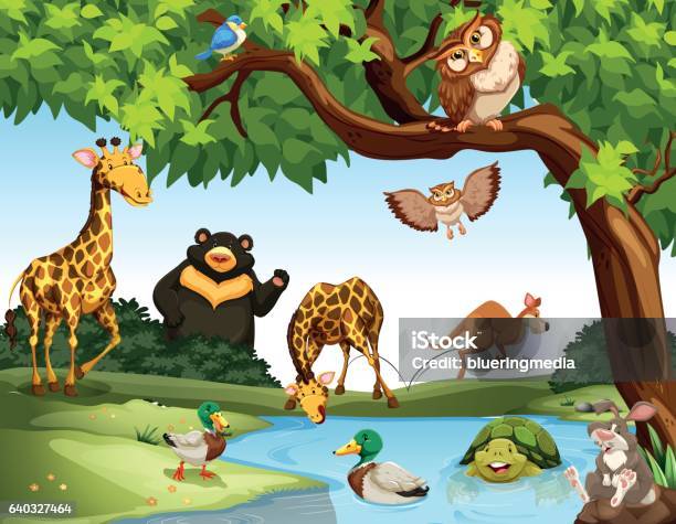 Many Wild Animals In The Park Stock Illustration - Download Image Now -  Animal, Animal Wildlife, Backgrounds - iStock