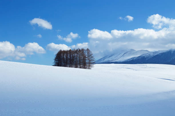 istock Snow scene in Japan 640327572