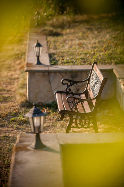 beautiful bench in summer at dawn stock photo