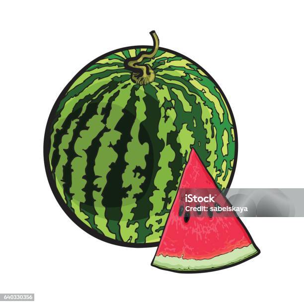 Whole Watermelon And Red Triangular Piece With Seeds Sketch Illustration Stock Illustration - Download Image Now