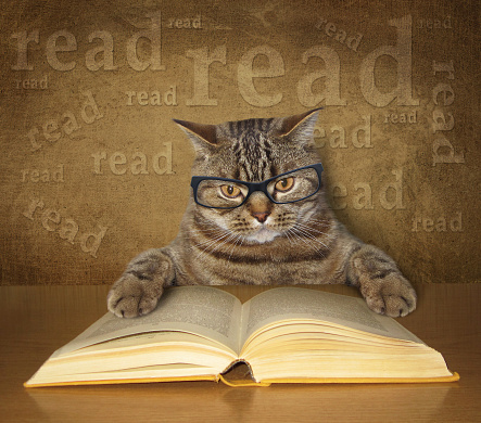 The clever cat with glasses sits at a table and reads a book.