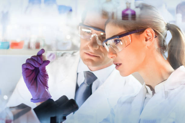 Health care professionals. Attractive young scientist and her post doctoral supervisor looking at the microscope slide in the forensic laboratory. microscope slide stock pictures, royalty-free photos & images