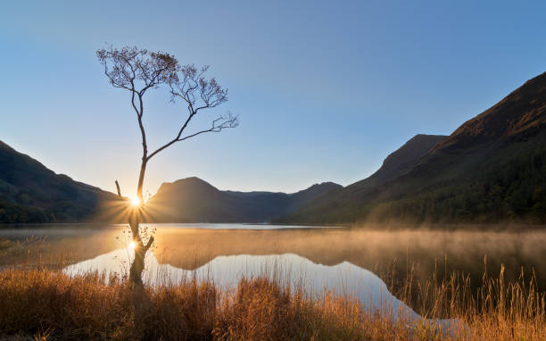 istock The Lone Tree during sunrise at Buttermere, Lake District 640349534
