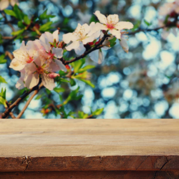 istock wooden table in front of cherry tree 640351580