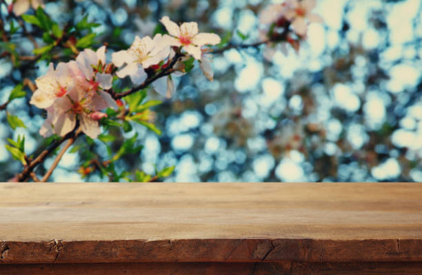 istock wooden table in front of cherry tree 640351996