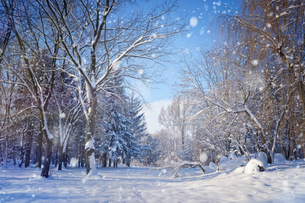 istock Beautiful winter landscape 640352244