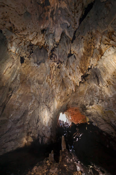 istock Waigeo Island Bat Cave 640352492