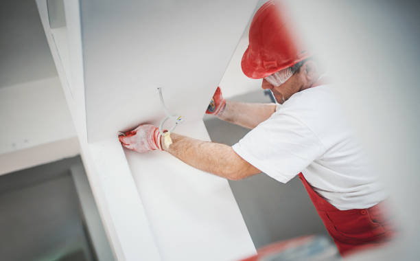 строитель заканчивает гипсокартон. - plasterboard plaster sander wall стоковые фото и изображения
