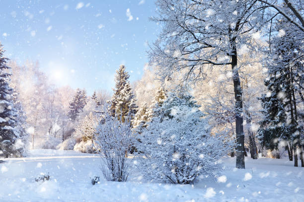 istock Beautiful winter landscape 640354624
