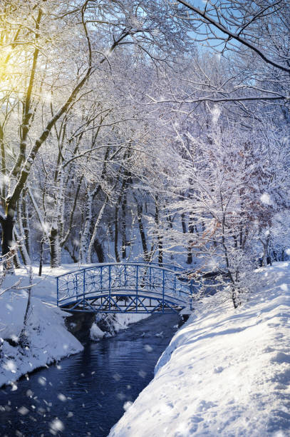 istock Beautiful winter landscape with the river 640355422
