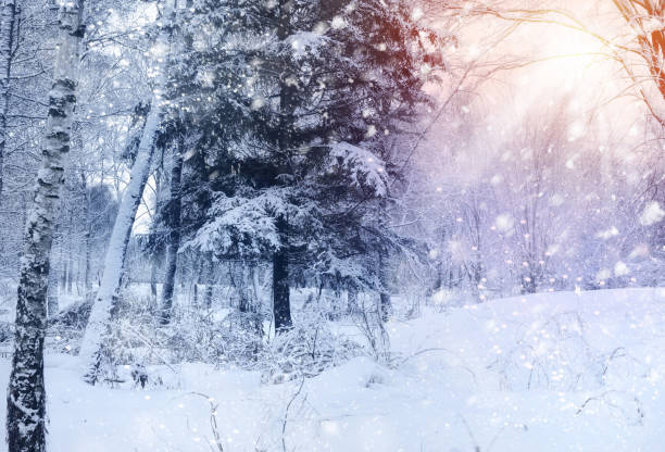 istock Beautiful winter landscape with snow covered trees 640355690