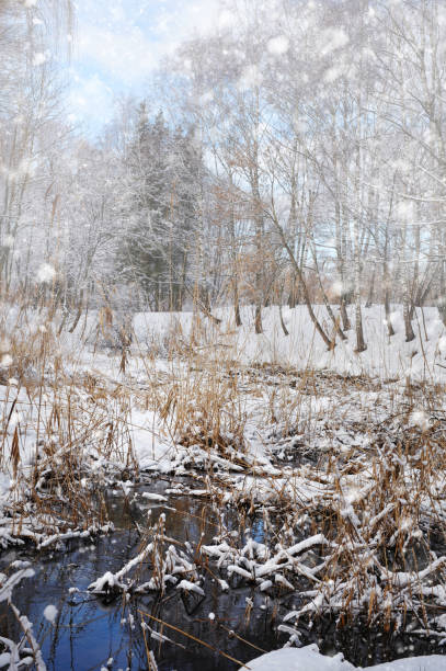 istock Beautiful winter landscap 640355702
