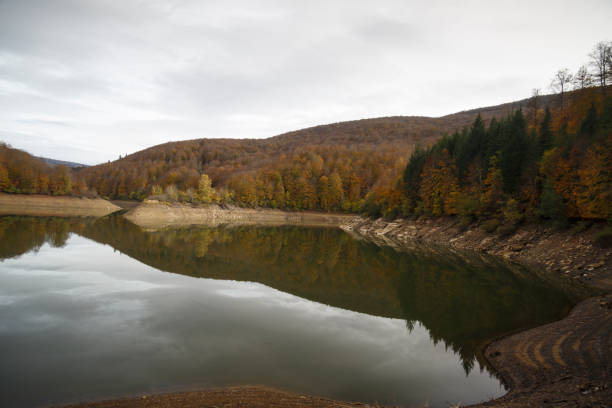 istock Irati forest, Pamplona, Navarra, Spain. 640356144