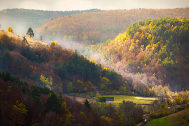 Views from Iraqi forest, in Pamplona province, Navarra, Spain.