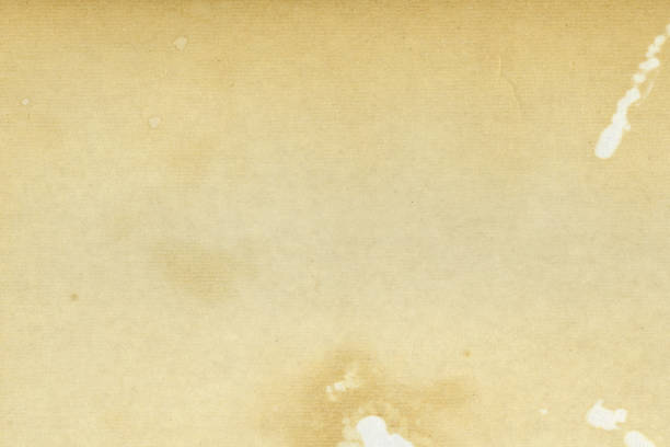 istock Old Paper texture. Vintage page in antique book 640356568