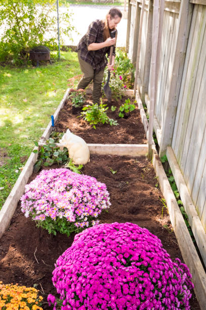 istock Woman Doing Fall Maintenance In Her Garden 640774822