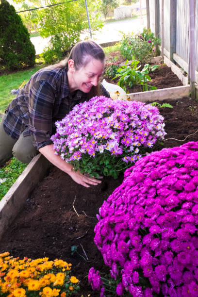 istock Woman Doing Fall Maintenance In Her Garden 640775442