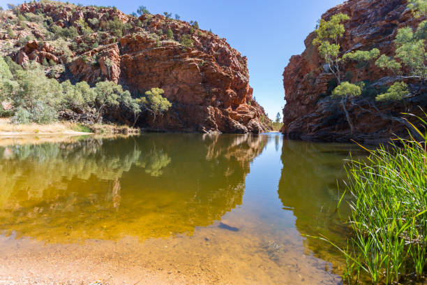 la charca de agujero grande espectacular ellery creek en territorio norteño, australia - ellery creek fotografías e imágenes de stock