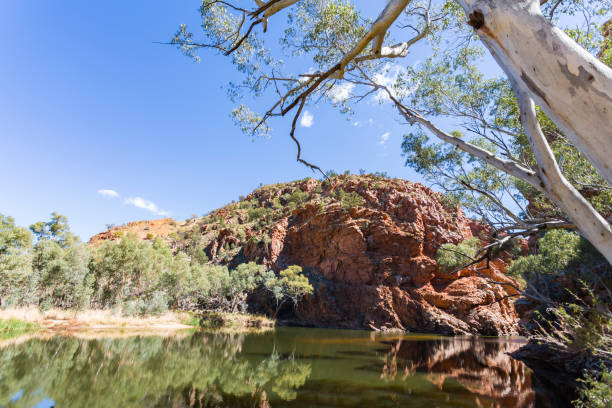 la charca de agujero grande espectacular ellery creek en territorio norteño, australia - ellery creek fotografías e imágenes de stock