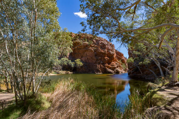 le spectaculaire ellery creek big hole trou d’eau dans le territoire du nord, australie - ellery creek photos et images de collection