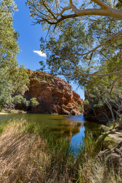 das spektakuläre ellery creek großes loch wasserloch im northern territory, australien - ellery creek stock-fotos und bilder