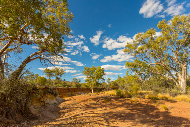istock Ochre Pits in the Northern Territory, Australia 640791404