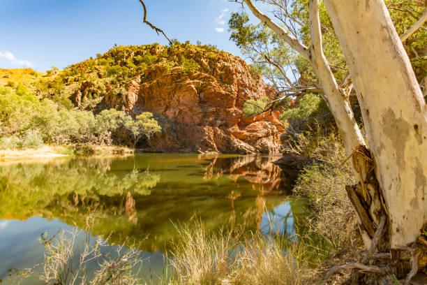 le spectaculaire ellery creek big hole trou d’eau dans le territoire du nord, australie - ellery creek photos et images de collection