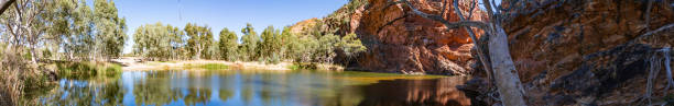 das spektakuläre ellery creek großes loch wasserloch im northern territory, australien - ellery creek stock-fotos und bilder