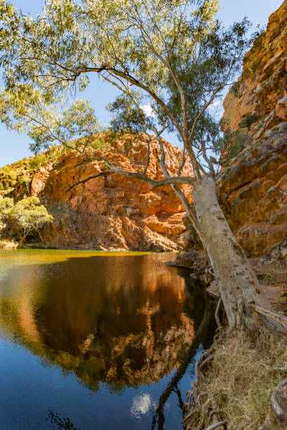 le spectaculaire ellery creek big hole trou d’eau dans le territoire du nord, australie - ellery creek photos et images de collection