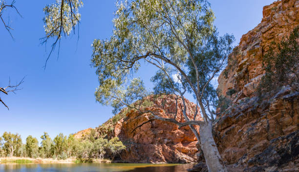 la charca de agujero grande espectacular ellery creek en territorio norteño, australia - ellery creek fotografías e imágenes de stock