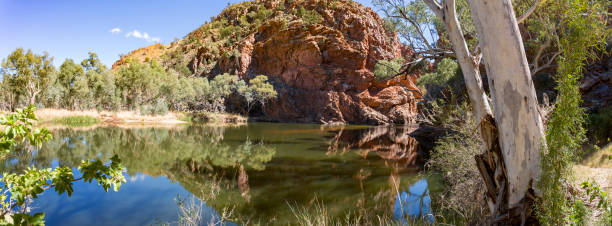 das spektakuläre ellery creek großes loch wasserloch im northern territory, australien - ellery creek stock-fotos und bilder