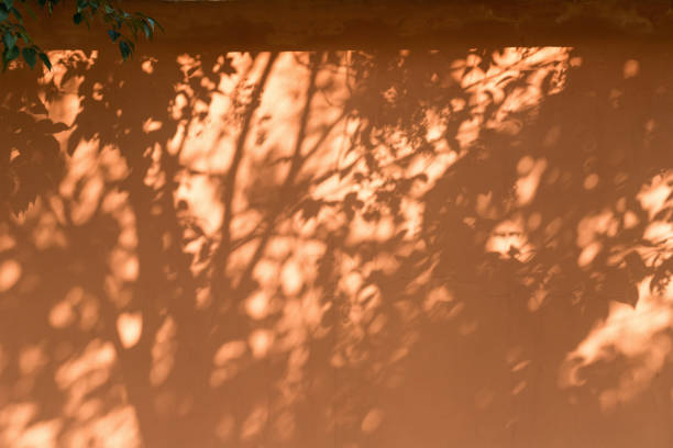 тени деревьев на стене храма - traditional culture flash стоковые фото и изображения